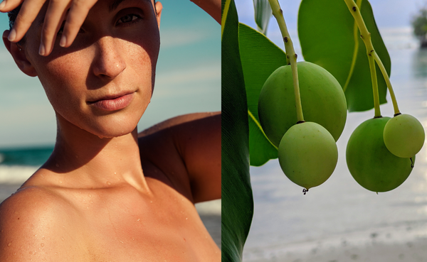 Transform Your Skincare Routine with Tamanu Oil Benefits